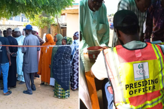 APC Wins All Niger LG Seats