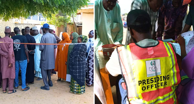 APC Wins All Niger LG Seats