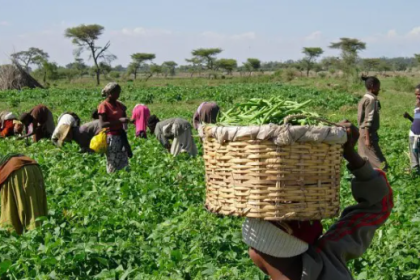 FG Unveils New Agricultural Reforms to End Hunger, Boost Food Production