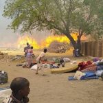 Forest Guard Kills IDP in Borno Camp