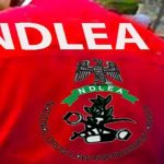 Outrage as Married Woman Suffers Gunshot Wound from Alleged NDLEA Stray Bullet in Kano
