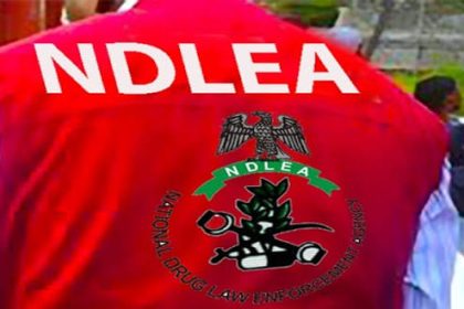 Outrage as Married Woman Suffers Gunshot Wound from Alleged NDLEA Stray Bullet in Kano