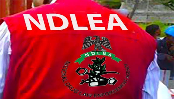 Outrage as Married Woman Suffers Gunshot Wound from Alleged NDLEA Stray Bullet in Kano