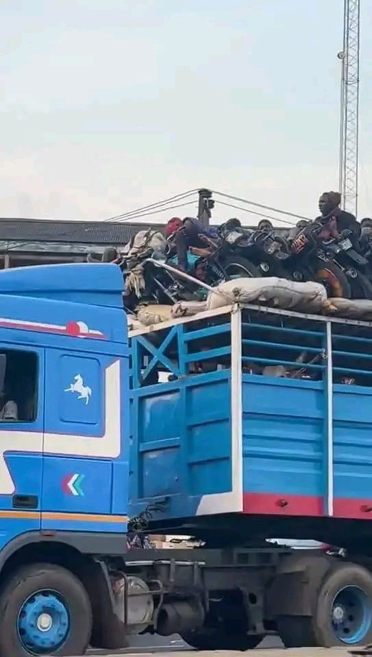 Ibadan Residents Panic as Truck Loaded With Men, Motorcycles and Cows Arrives From the North