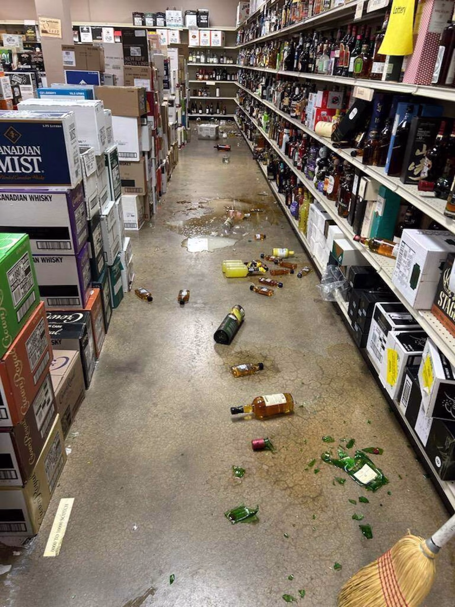 Tipsy Raccoon Causes Whisky Rampage in Virginia Liquor Store