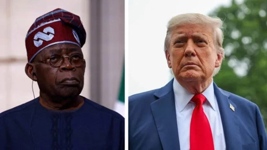 No Civilian Casualties After US-Backed Airstrikes - FG