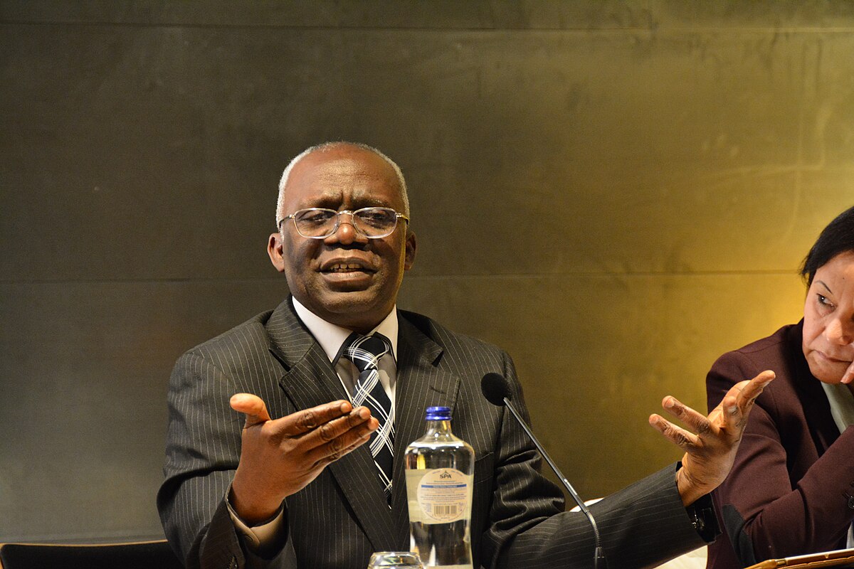 Falana Pushes Social Media Age Limit