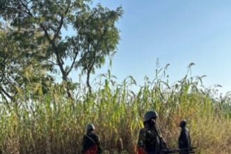 Tinubu’s Tougher Security Measures Deliver Wins as Troops Disrupt Kogi Bandits
