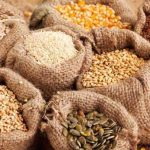 SEEDAN Lauds Tinubu Over Approval of N50 Billion Seed Industry Catalytic Fund