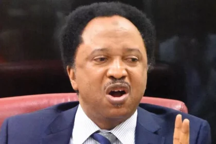 Foreign Military Action with FG’s Consent Does Not Violate Nigeria’s Sovereignty - Shehu Sani