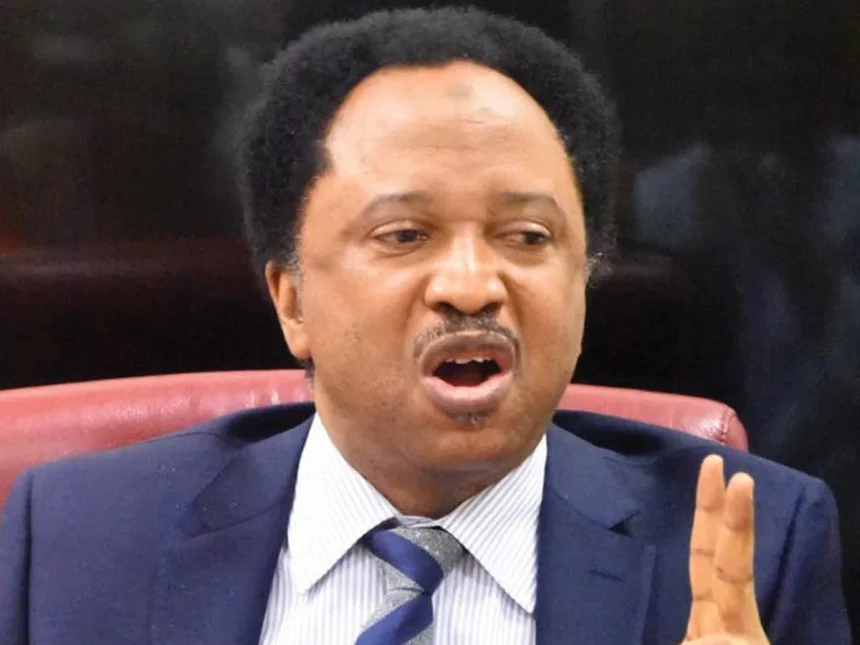 Foreign Military Action with FG’s Consent Does Not Violate Nigeria’s Sovereignty - Shehu Sani