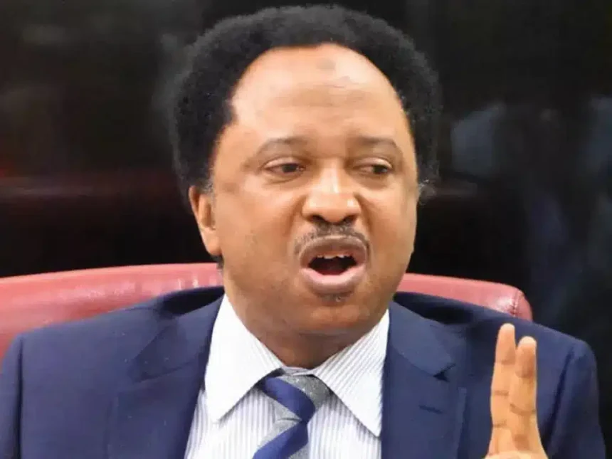 Trump’s Visa Ban: Rebuild Africa, Stop Running Abroad – Shehu Sani