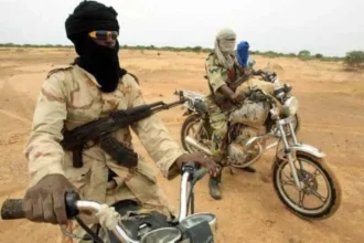 Social Media Accounts of Bandits