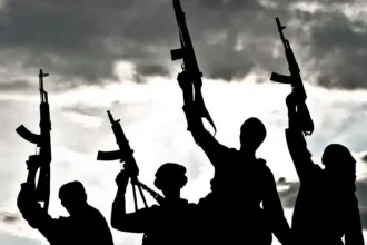 Bandits Strike Niger Community
