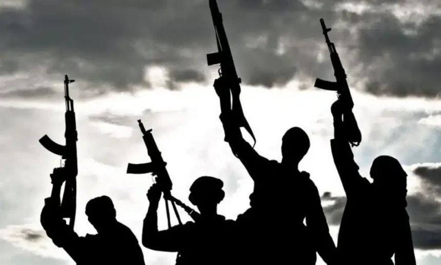 Bandits Strike Niger Community