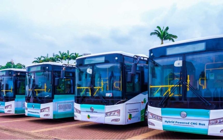 FG Receives 50 More CNG Buses to Boost Affordable Transit