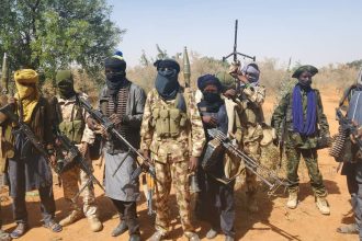 Tinubu’s State of Emergency Will End Insecurity Soon - Omoyele
