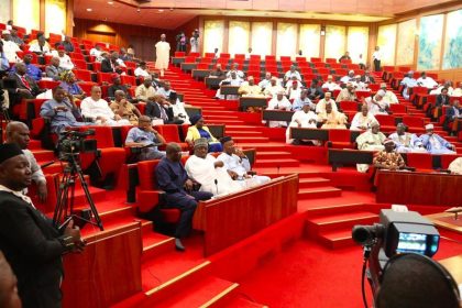 Senate to FG: Borrowing must deliver results