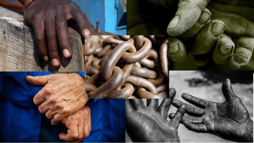 Stakeholders Demand Tougher Action on Local Human Trafficking in Nigeria