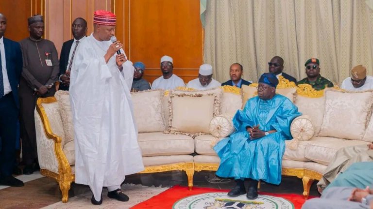 Kano Governor Meets Tinubu In France