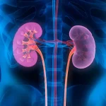 Foods Risk Of Kidney Damage