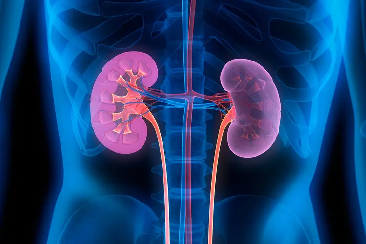 Foods Risk Of Kidney Damage