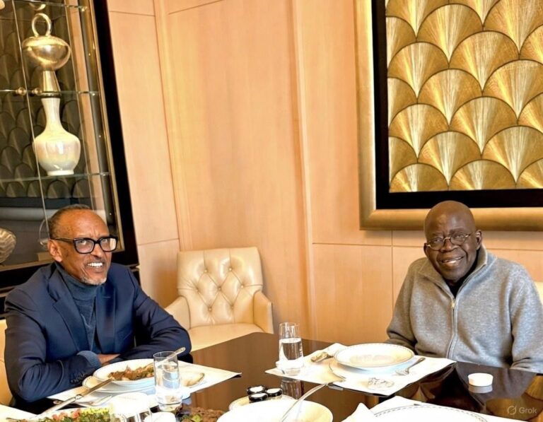 Tinubu Kagame Photo Is Real, Presidency Dismisses AI Allegations