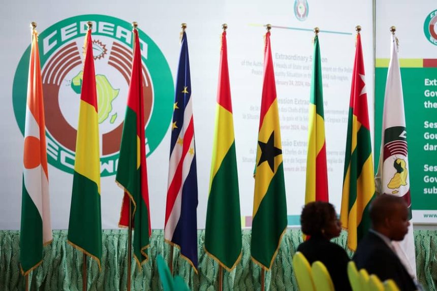 ECOWAS Visa-Free Travel Still Facing Obstacles - Dabiri-Erewa