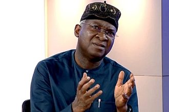 Nigeria Must Assert Its Position Amid Visa Restrictions - Fashola