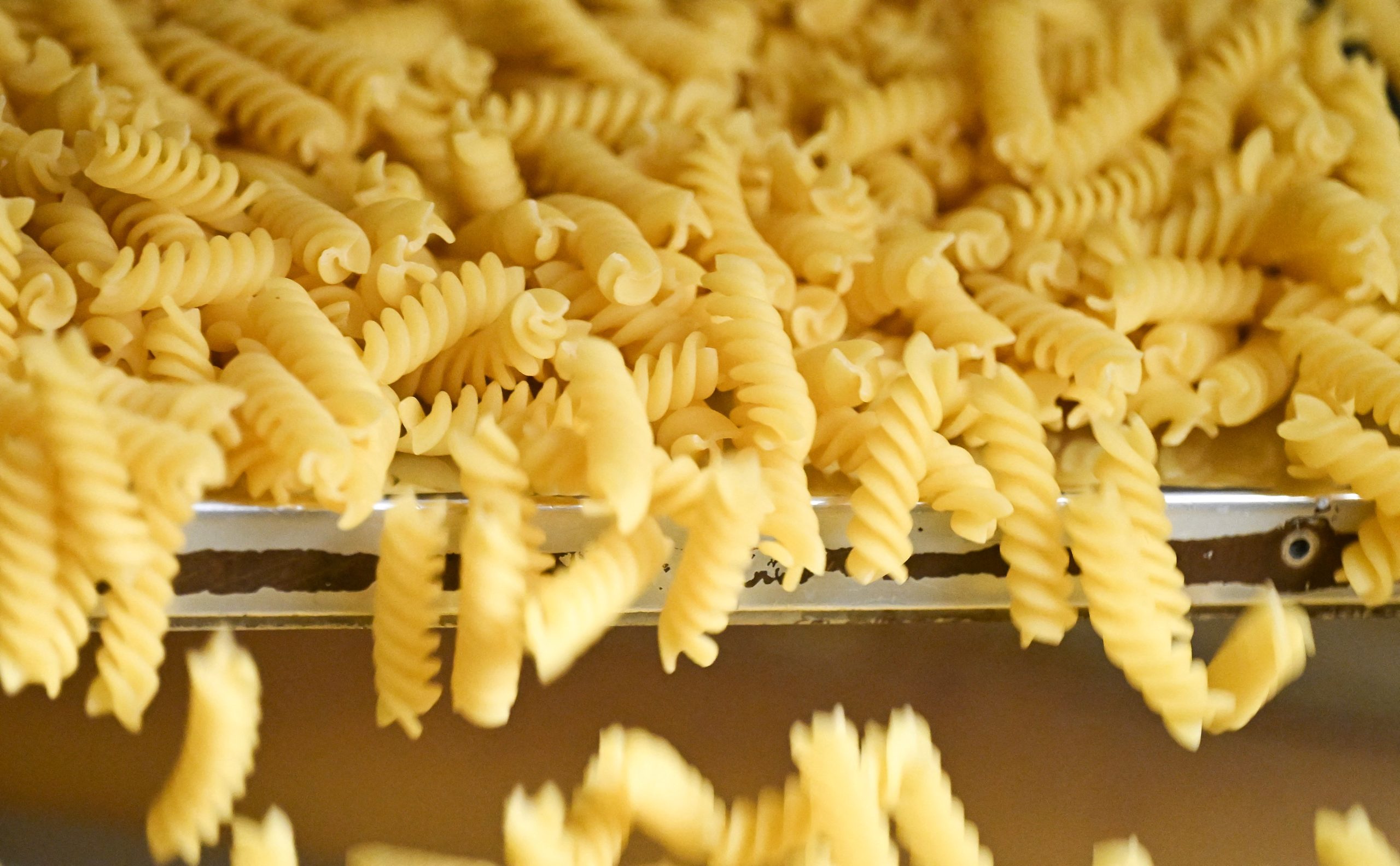 US Slashes Tariffs on Italian Pasta Makers
