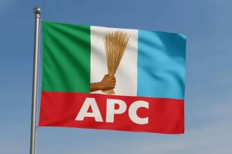 APC Dismisses Reports Of Plan To Replace Shettima As Tinubu’s Running Mate