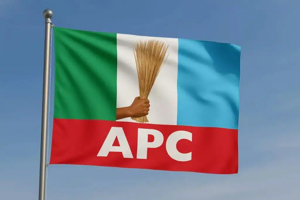 APC Dismisses Reports Of Plan To Replace Shettima As Tinubu’s Running Mate