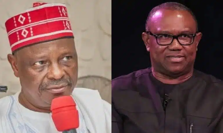 Set Up For Peter Obi Kwankwaso Alliance