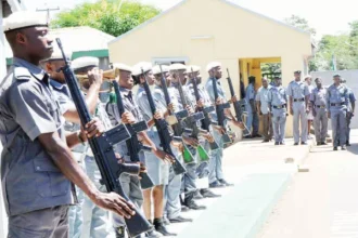 FG Approves Safe Passage for Foreign Vehicles Entering Nigeria