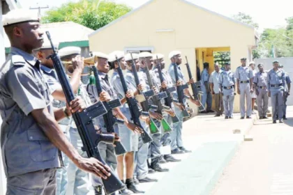 FG Approves Safe Passage for Foreign Vehicles Entering Nigeria