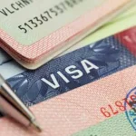Mali, Burkina Faso Bar US Citizens Over Trump Visa Restrictions