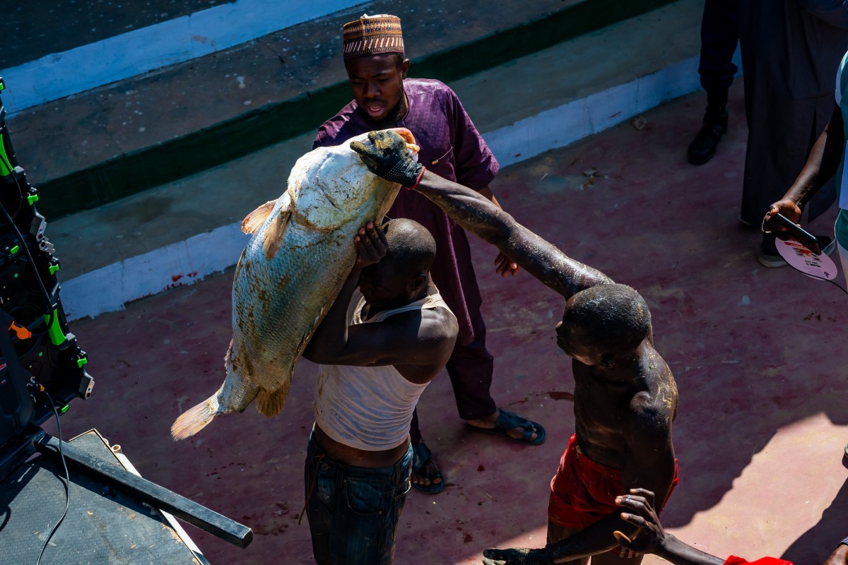 Argungu Festival: Tinubu Vows to Defeat Insecurity