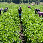 Nigeria, China Expand Collaboration in Infrastructure, Agriculture