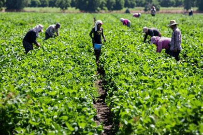 Nigeria, China Expand Collaboration in Infrastructure, Agriculture