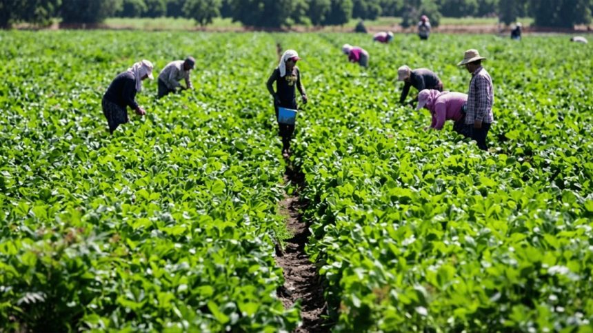 Nigeria, China Expand Collaboration in Infrastructure, Agriculture