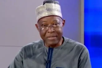 Nigeria Not Ready for Electronic Transmission of Results - Former INEC Commissioner