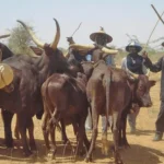 Miyetti Allah Rejects US Sanctions Move