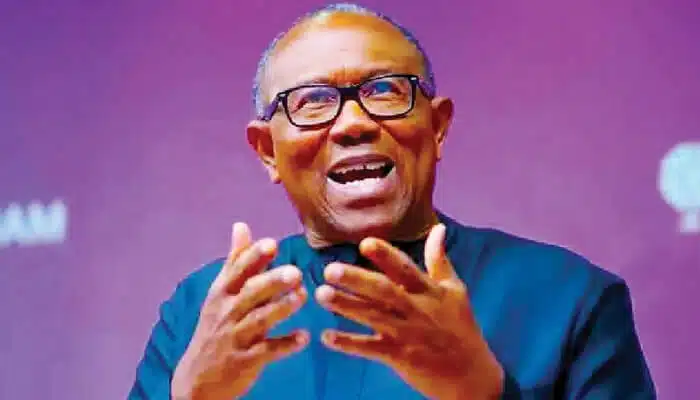 'Peter Obi Warns of Rising Political Thuggery