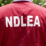 ‎NDLEA Busts Drug Trafficking Ring, Seizes Over 1,183kg of Canadian Loud at Tincan Port