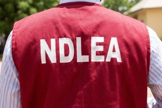 ‎NDLEA Busts Drug Trafficking Ring, Seizes Over 1,183kg of Canadian Loud at Tincan Port
