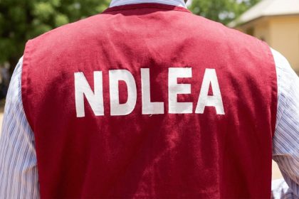 ‎NDLEA Busts Drug Trafficking Ring, Seizes Over 1,183kg of Canadian Loud at Tincan Port