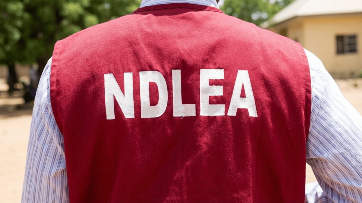 ‎NDLEA Busts Drug Trafficking Ring, Seizes Over 1,183kg of Canadian Loud at Tincan Port