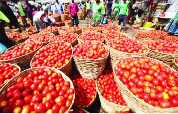 Tomato Prices to Drop During Ramadan