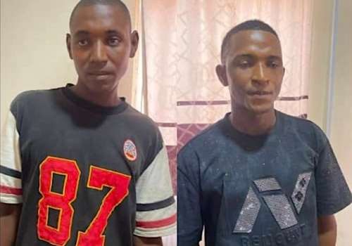 The Edo Kidnapped Story: Where Kidnappers Discovered Doctors Also Have Eyes