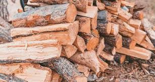 ‎Nigeria Earned N65.85bn from Wood Energy Exports in Q1 2025 - NBS